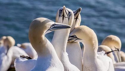 星空体育星空体育官网入口-曼联挣扎不堪，降级危机悄然袭来，曼联如何