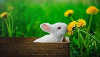 星空体育APP-国足力挽狂澜，晋级国际比赛半决赛，国足 2022